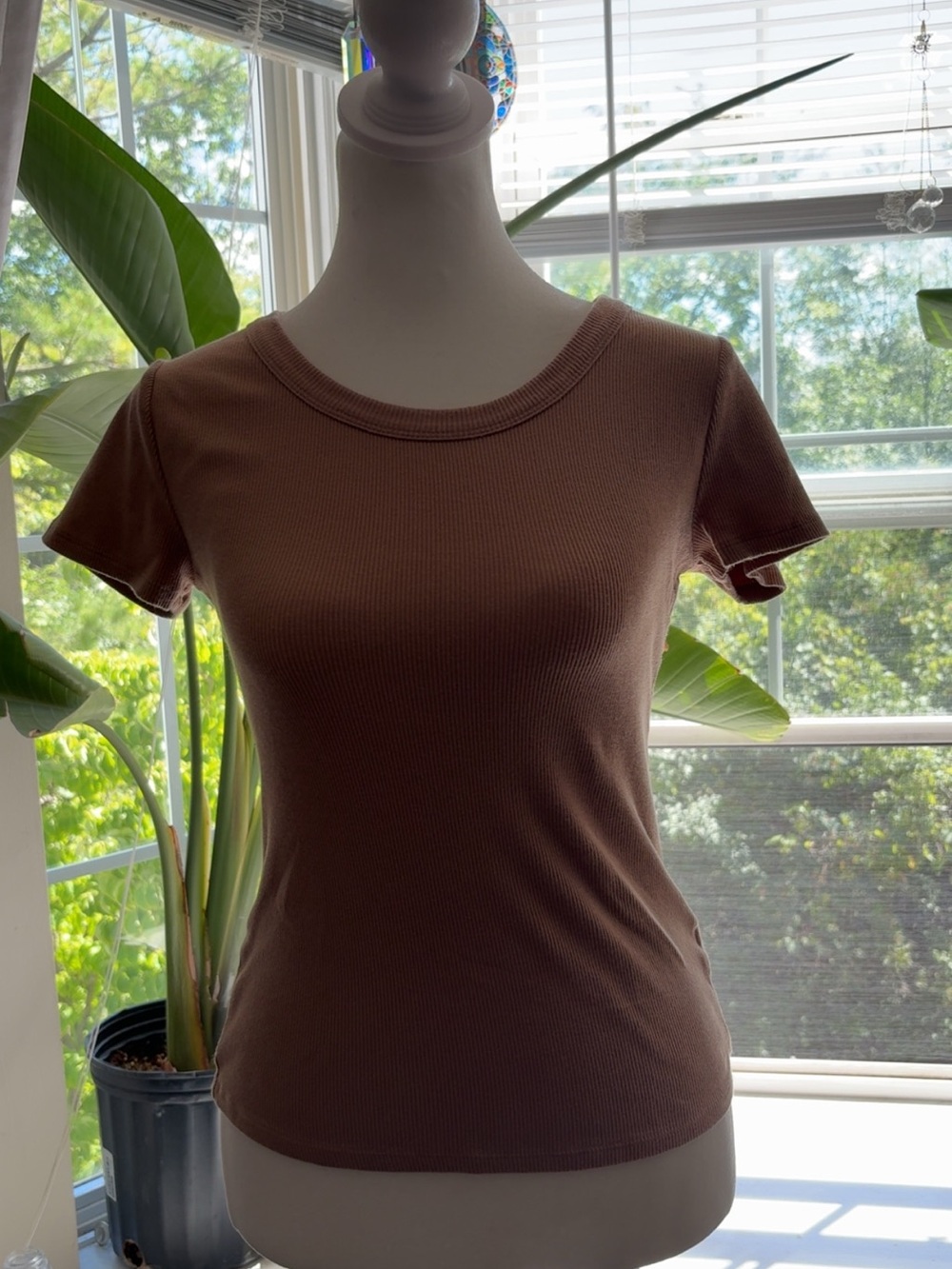 Women’s Brown Ribbed Baby Tee